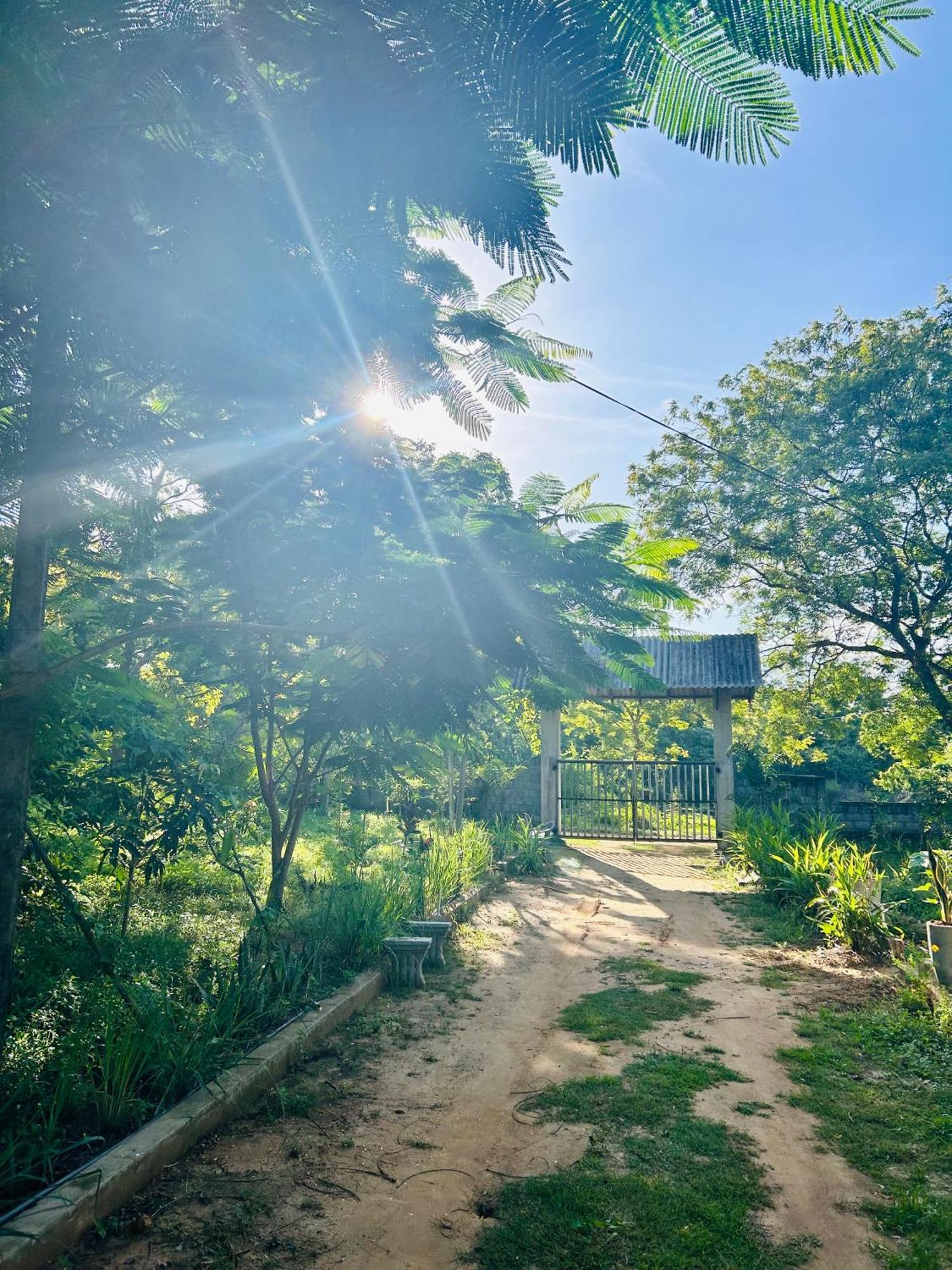 Neem Holiday Bungalow Yala Tissamaharama Exterior photo